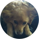 Kara Taylor profile picture